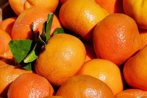 Citrus from Chile promociona el consumo de clementinas chilenas en EEUU con entretenida campaña