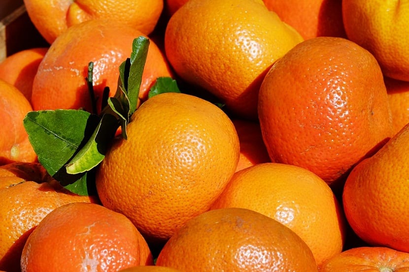 Citrus from Chile promociona el consumo de clementinas chilenas en EEUU con entretenida campaña
