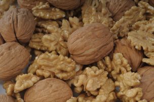 Cosecha de nueces ya vendida en un 95% a mercados internacionales