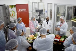 Alimento y suplemento vitamínico de hortalizas de La Araucanía