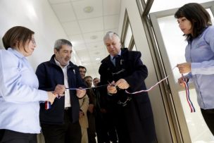 Banco Microbiano de INIA: Una apuesta para el futuro de la investigación en Chile