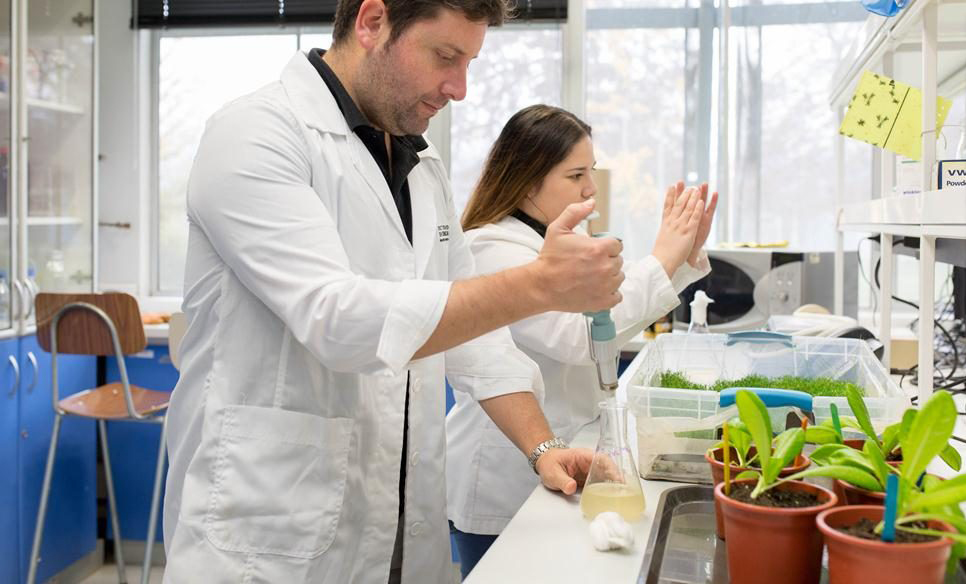 Científicos de la Región del Maule crean “súper vegetales” con bacterias de la Antártica