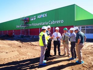 Más de 2 millones de cajas de frutas se han inspeccionado en nuevo sitio de Cabrero