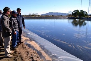 Tras cinco años sin agua agricultores de Casablanca recuperaron riego para sus cultivos