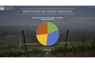 Más del 40% de la superficie agrícola de la Región de Coquimbo corresponde a frutales persistentes