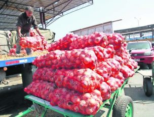 Cortes de rutas en el norte chico complican envío de hortalizas desde Arica al sur del país