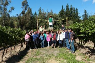 Pequeños viñateros del país crean Club del Vino Campesino con el apoyo de Minagri e INDAP