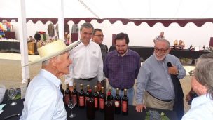 Con Fiesta de la Vendimia resaltan a Cauquenes como “Cuna del Vino”