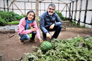 Con agua lluvia, calefacción y música, agricultora cultiva sandías de 5 kilos en Tierra del Fuego