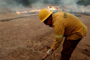 Incendios: CMPC suma cuatro aeronaves para combatir las llamas en la zona de emergencia