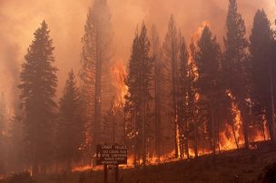 Sector vitivinícola se moviliza ante emergencia por los incendios