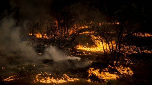 72 comunas declaradas bajo emergencia agrícola