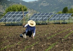 Lecheros de Los Lagos podrán usar energías renovables