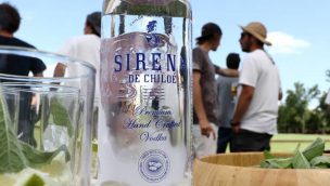 Lanzan primer vodka chileno premium: está elaborado con papas chilotas