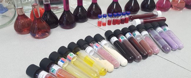 Chile desarrolla sus propios colorantes naturales