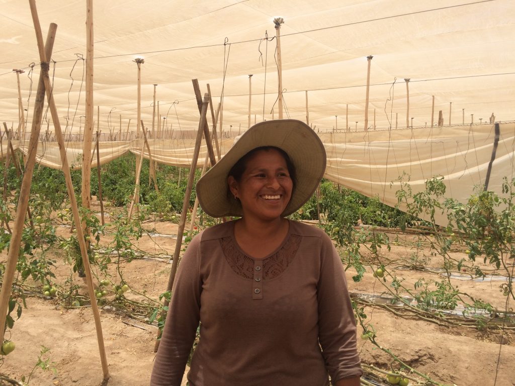 Agricultores reciben $67 millones en indemnizaciones por vientos fuertes que afectaron a sus cultivos en julio pasado
