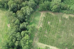 Investigadores UFRO crean innovador software de cuantificación y monitoreo forestal