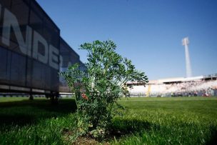 Desde la Ruda de Guede a la Gruta de la U: Las historias de brujerías y psíquicos en el fútbol chileno