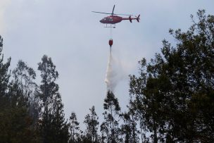 Onemi reporta cinco incendios forestales activos a nivel nacional