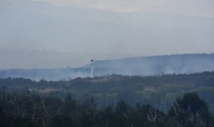 Conaf contará con tres helicópteros Chinook para combatir incendios forestales