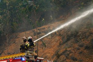 Onemi reporta 10 incendios forestales activos a nivel nacional