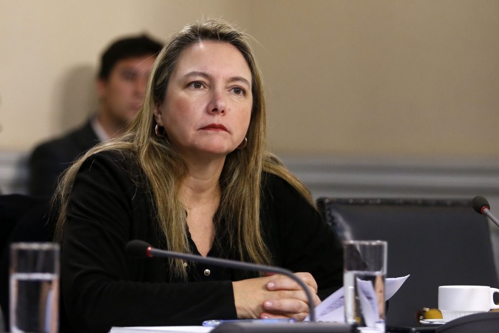Diputada del Real:”Escucharemos todas las opiniones y se decidirá en su mérito”