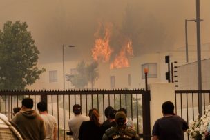 Gobierno confirma dos detenidos por incendio forestal de Placilla y Curauma