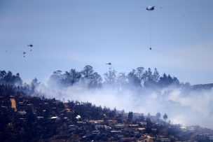 Intendente de Valparaíso dice que incendio de Mesana pudo ser similar a de 2014