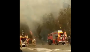 Ruta 68 cortada por incendios forestales en Quintay y Peñuelas