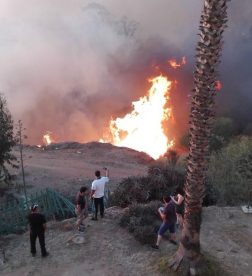 Incendio forestal afecta a la localidad de Miraflores en Viña del Mar