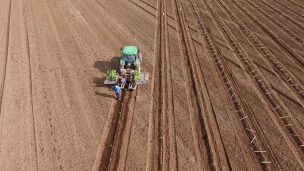 INIA realizó 1ra plantación mecánica de almendros en Chile