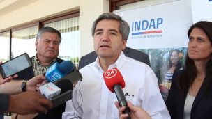 Carlos Recondo, Director Nacional de Indap: “Seguir apoyando al mundo rural tiene que ser una prioridad para el próximo gobierno”