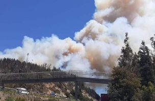 Declaran Alerta Roja en la comuna de Valparaíso por incendio forestal a un costado de la Ruta 68