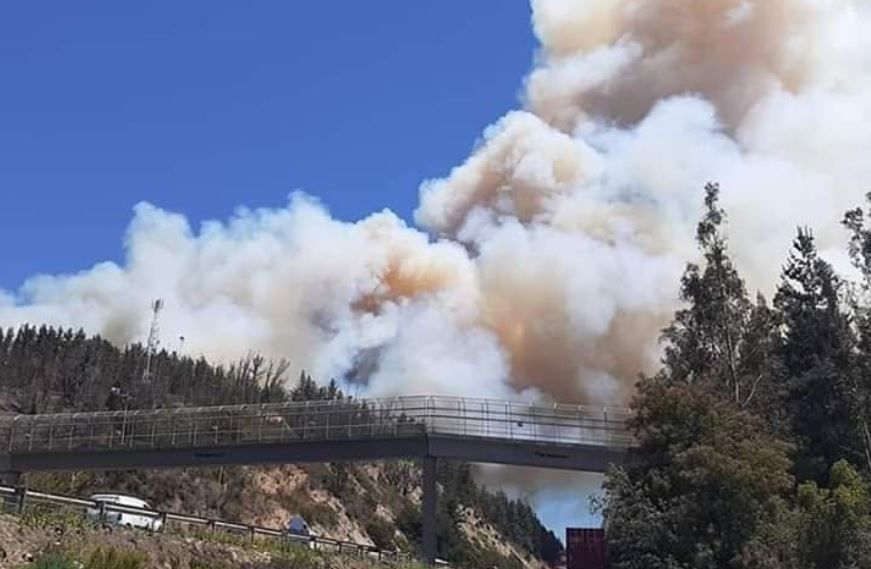 Declaran Alerta Roja en la comuna de Valparaíso por incendio forestal a un costado de la Ruta 68