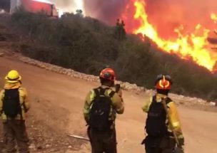 Ruta 68: Cierran acceso a Quintay debido a incendio forestal