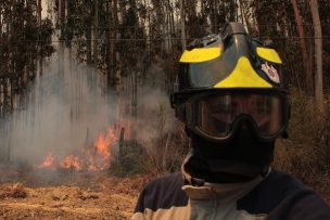 ONEMI reporta 21 incendios forestales activos a nivel nacional