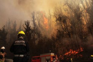 Se declara Alerta Roja para la comuna de Paredones por incendio forestal