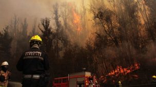 Continúa Alerta Amarilla para la comuna de Requínoa por incendio forestal