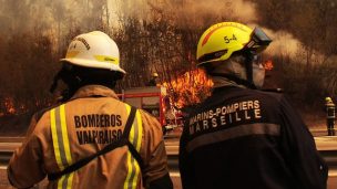 Alerta Roja para la comuna de Las Cabras por incendio forestal