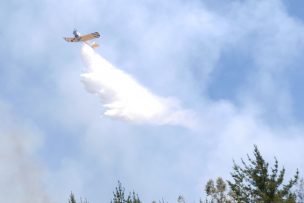 Controlan incendio forestal en comuna de San Pedro que consumió 150 hectáreas