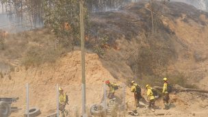 Onemi reporta cuatro incendios forestales activos a nivel nacional