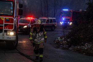 ONEMI reportó tres incendios forestales activos a nivel nacional