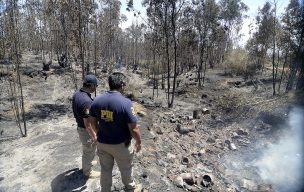 Fiscalía reconoció “antecedentes” sobre intencionalidad por incendios forestales