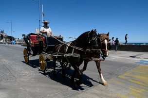 Consulta ciudadana de Viña del Mar preguntará por la continuidad de los coches Victoria