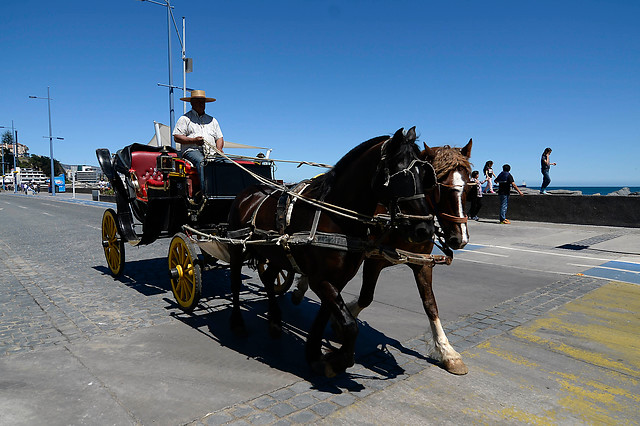 Consulta ciudadana de Viña del Mar preguntará por la continuidad de los coches Victoria