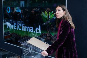 Comenzó la cumbre climática COP25 en Madrid: ministra Schmidt la preside