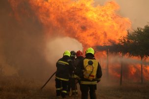 Ministro Walker: “Hay 99% de probabilidades que estos incendios sean intencionales