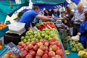 Una propuesta de Chile: ONU declara 2021 como Año Internacional de Frutas y Verduras