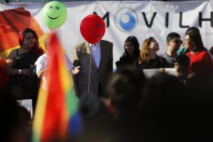 Movilh presenta recurso a favor del matrimonio igualitario en el TC