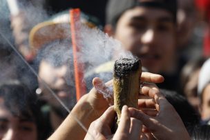 Por primera vez desde 2010 consumo de marihuana cae en el país